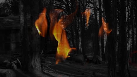 animation of fire flames over trees in forest