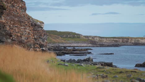 waves roll on the rocky coast