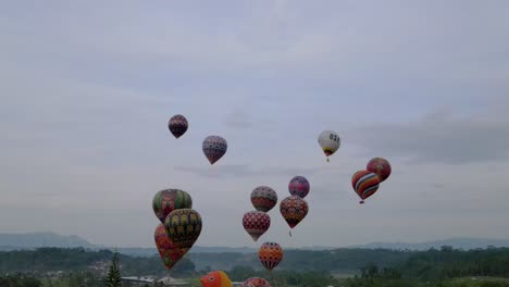 hot air balloons flying