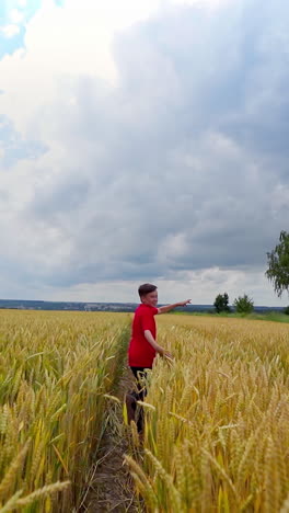 running kid on field. little boy running cross the wheat field. vertical video