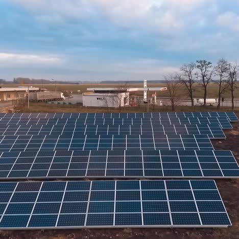 Solar farm in nature. Blue photovoltaic solar panels on the field. Alternative source of energy. Innovative sunny cells to receive clean energy.