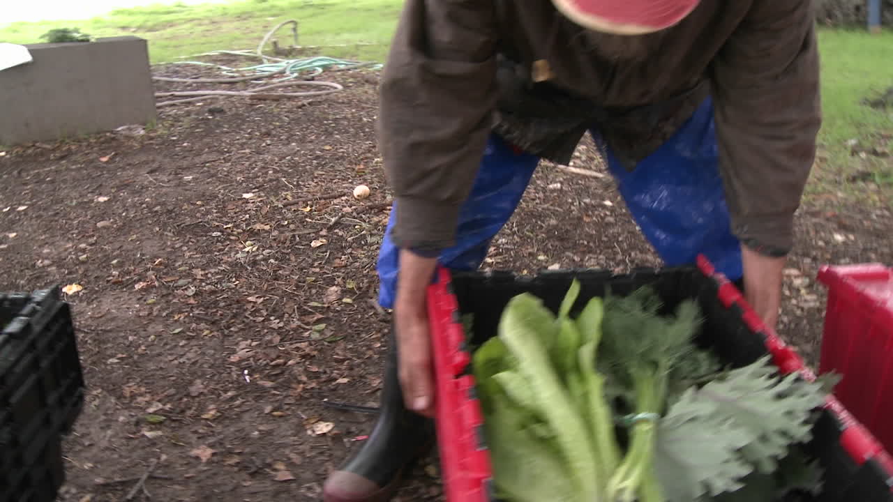caja de verduras que se está cerrando para una entrega agrícola apoyada por la comunidad en ojai california
