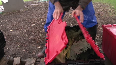caja de verduras que se está cerrando para una entrega agrícola apoyada por la comunidad en ojai california