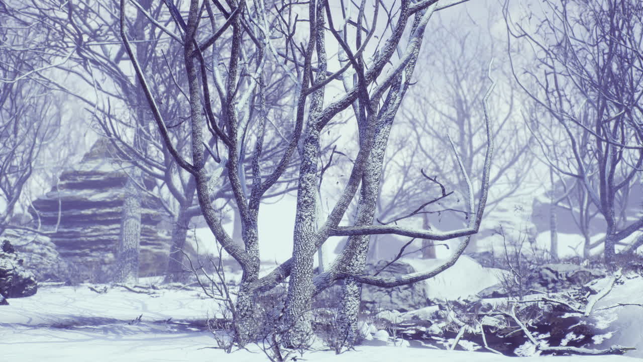 Snow covered landscape with bare trees and rocky formations in winter