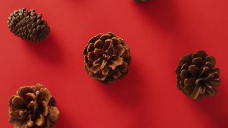 Video-of-pine-cones-lying-on-red-surface