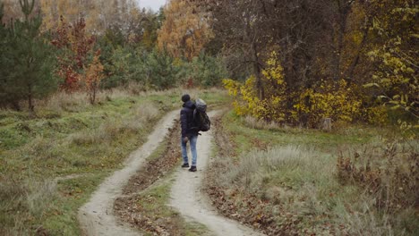 man walking on nature. hikers trekking in beautiful yellow autumn fields and forest