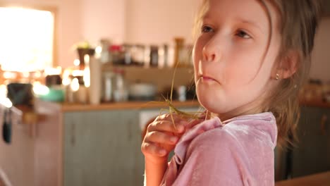 el retrato de una niña linda sostiene una mascota de insecto en las manos y se la pone en la cara en casa divertirse y sonreír