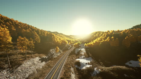 scenic road through a fall forest