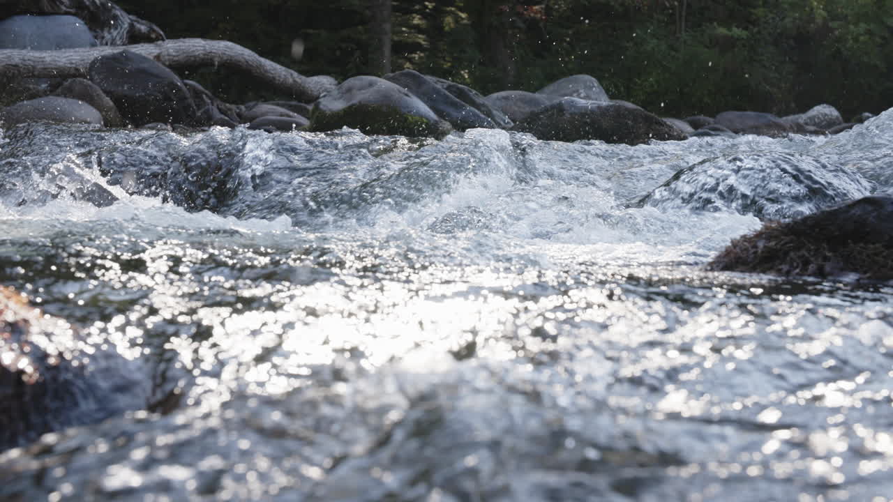 시냇물을 졸졸 흐르는 물을 가로지르는 슬로우 모션 팬