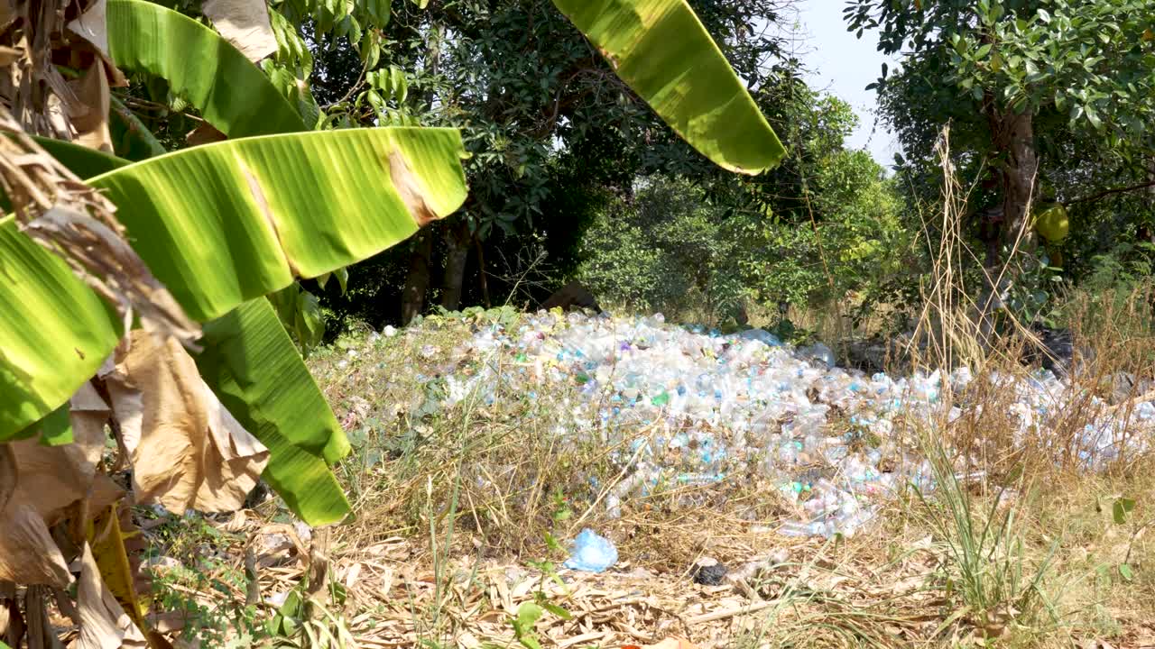Plastic waste overwhelms nature, discarded bottles litter green landscape