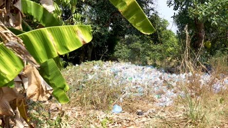 plastic waste overwhelms nature, discarded bottles litter green landscape