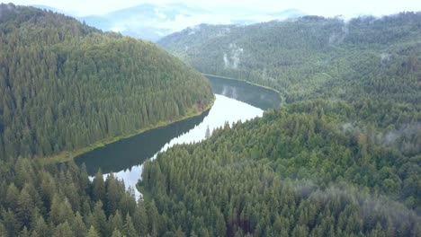 Eine-Luftdrohnenaufnahme,-Die-Entlang-Eines-Flusses-Schießt-Und-Die-Weite-Der-Pinien-Und-Die-Wildnis-Des-Valea-Draganului-In-Rumänien-Offenbart