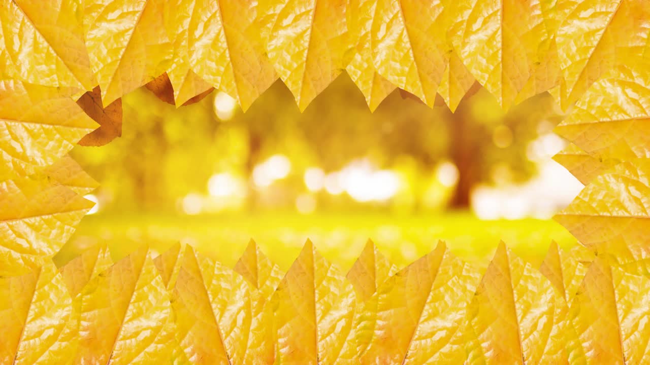 가을 자연 배경 위에 가을 잎의 프레임의 애니메이션