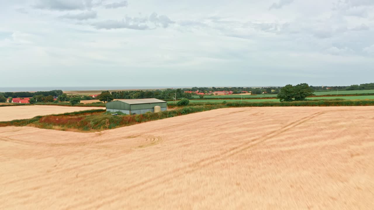 Landbrugsmarker i Norfolk, lav droneflyvning over hvedemarker, over en by ved havet nær Burnham