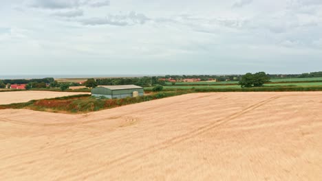 Norfolk-Farm-Fields-Luftdrohne-Im-Tiefflug-über-Weizenfelder-über-Der-Stadt-Am-Meer-In-Der-Nähe-Von-Burnham