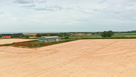 norfolk farm fields aerial drone low fly over wheat fields over town by the sea near burnham