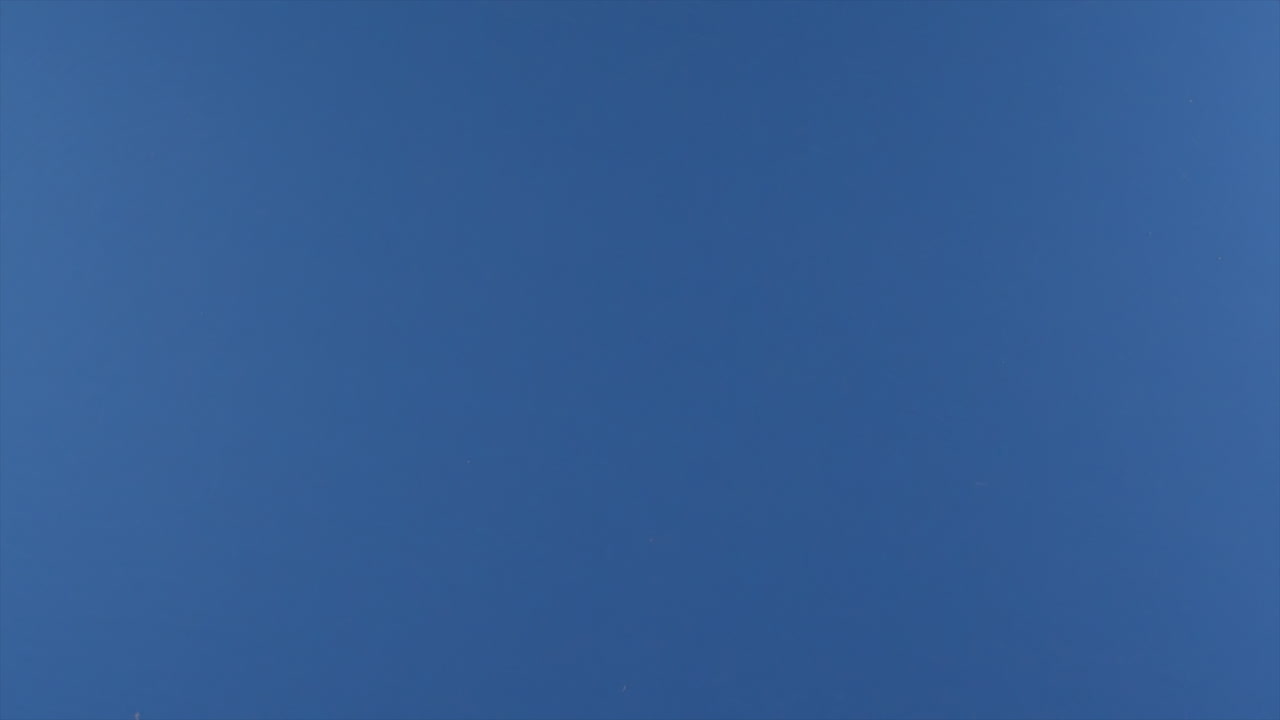 se ve una mano tirando un rollo de papel higiénico al aire frente a una pantalla azul