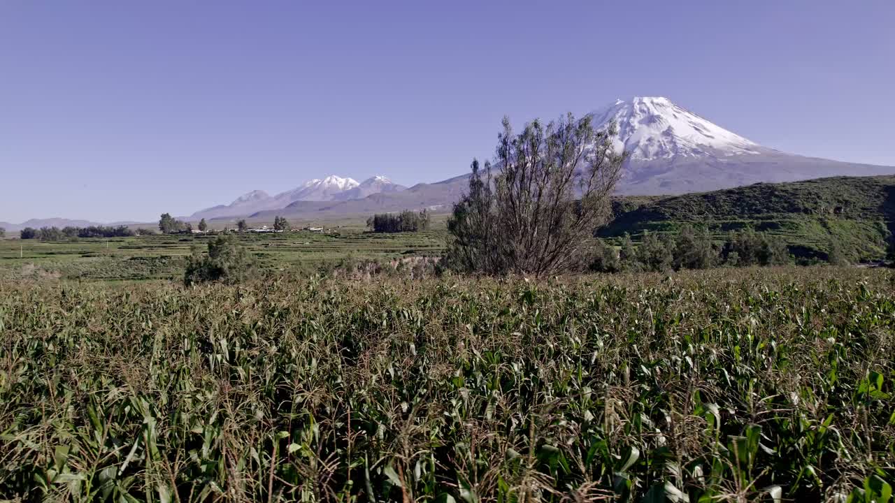 Smooth right-to-left drone flight above lush cornfields, with the iconic Misti volcano towering in the background.