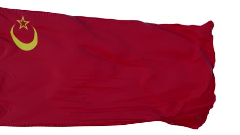 bandera de la unión de las repúblicas soviéticas islámicas animación realista aislada. bucle sin costuras, 4k