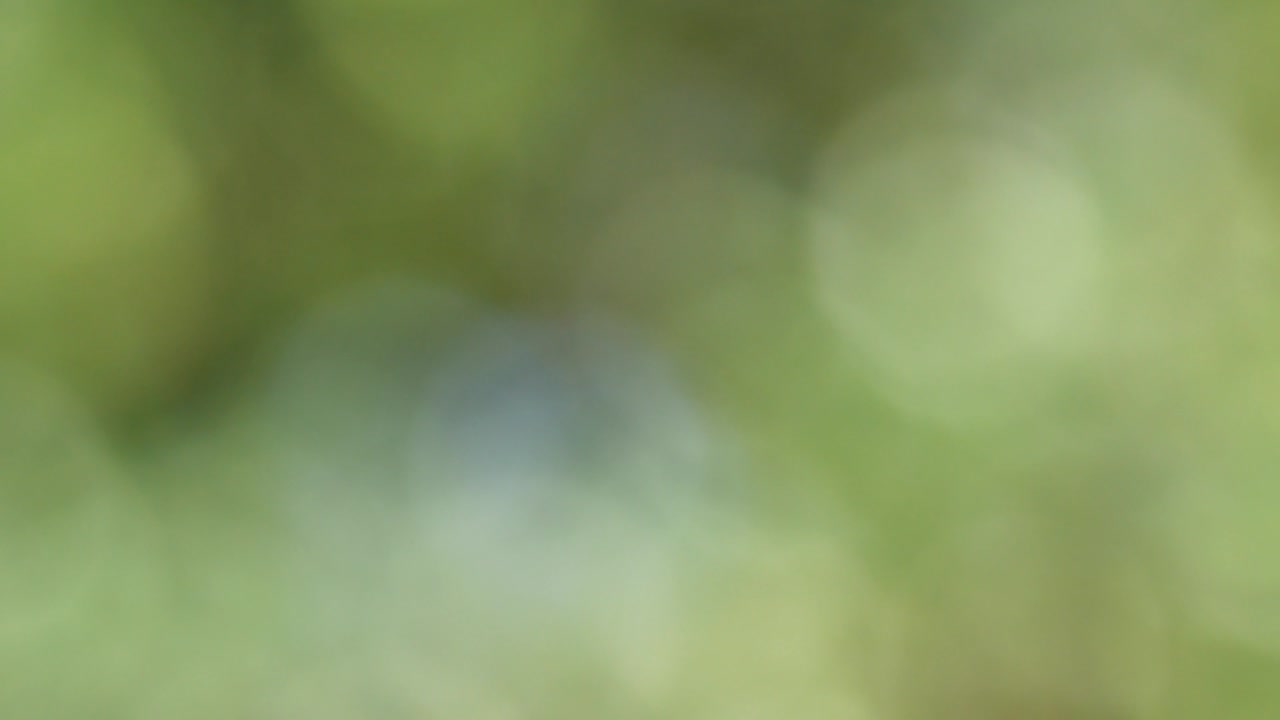 agitación de la forma circular de la luz