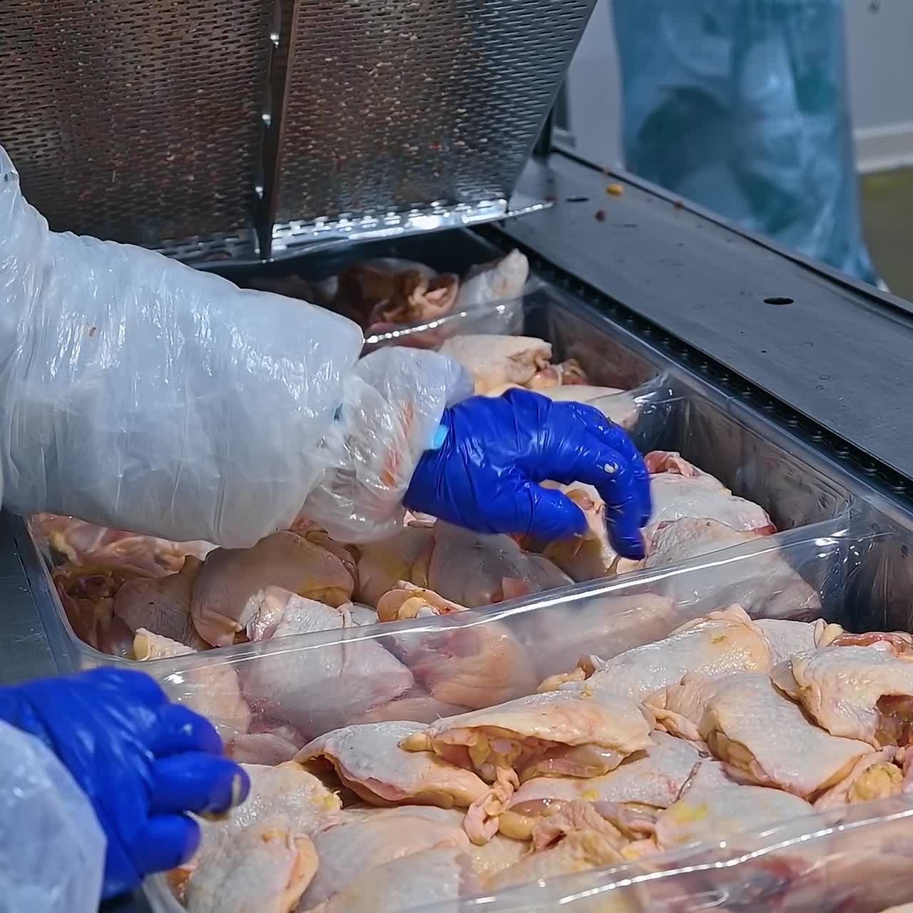 Parts of chicken meat in industrial refrigerator. Worker in uniform laying out fresh chicken meat in poultry farm. Chicken meat production