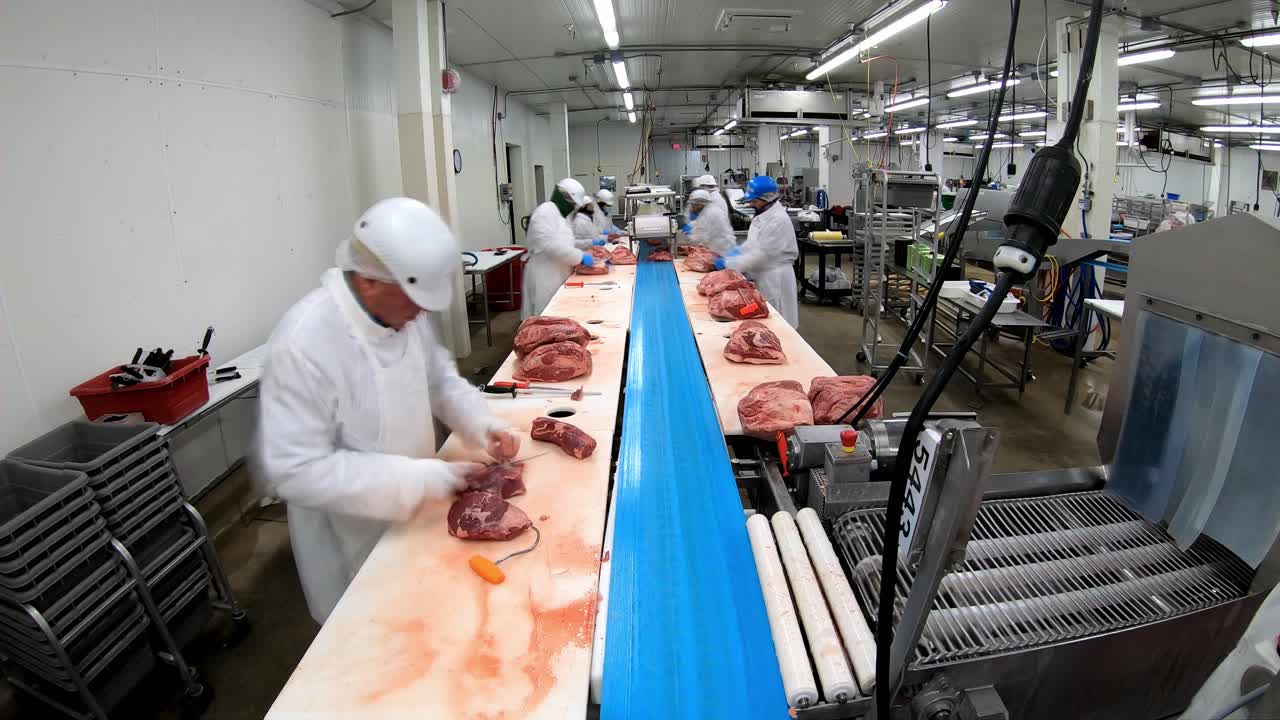 Timelapse of blue collar workers cutting meat in a factory production line