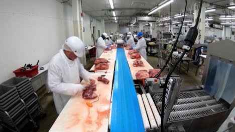 timelapse de trabajadores de cuello azul cortando carne en una línea de producción de fábrica