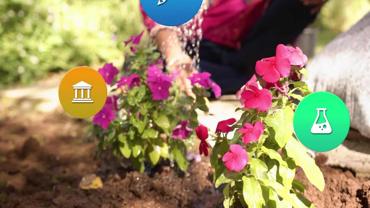 Woman watering pink plants in garden, nurturing growth while pouring water spawning education icons