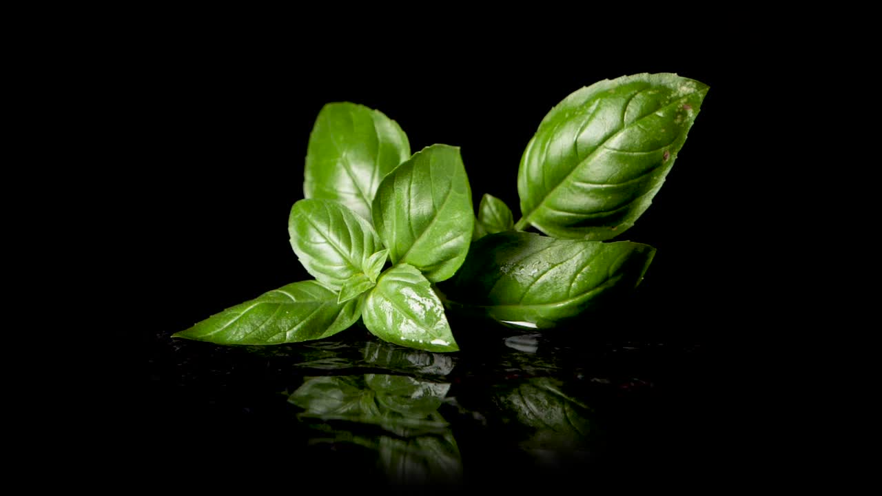 물이 있는 검은 표면에 바질 허브가 떨어지는 슬로우 모션 샷