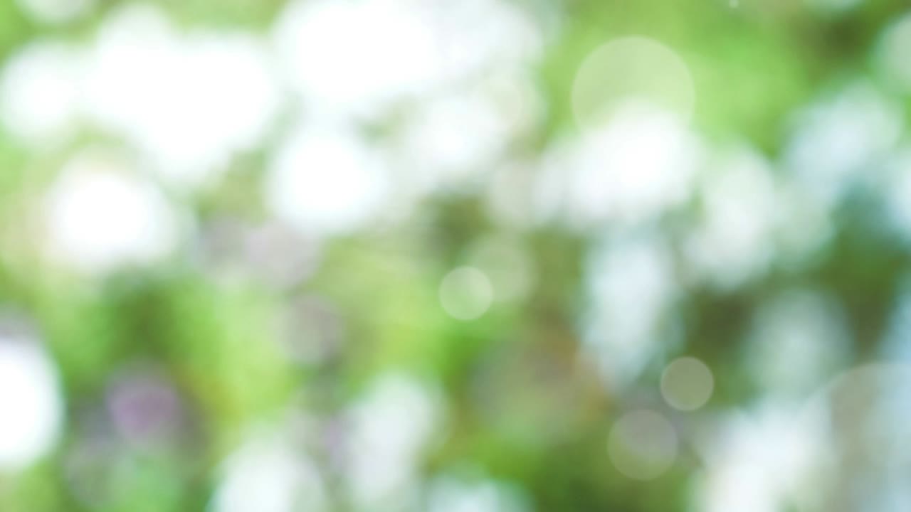 fondo de resorte abstracto con bokeh