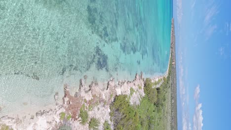 aerial drone view of bahia de las aguilas turquoise sea and beach in dominican republic, vertical shot