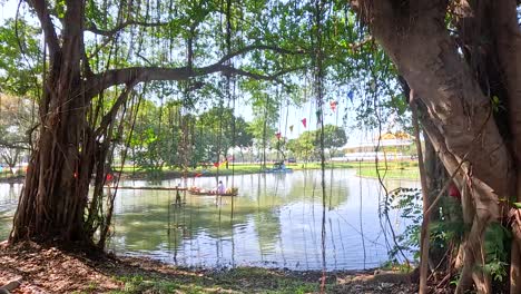 park with a lake and boats under the trees