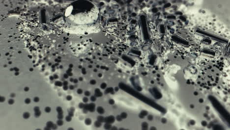 microscopic biological structures