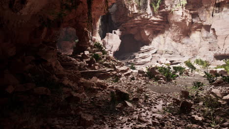 Hojas-De-Helecho-Cuelgan-Verticalmente-Sobre-La-Entrada-De-Una-Antigua-Cueva-De-Piedra