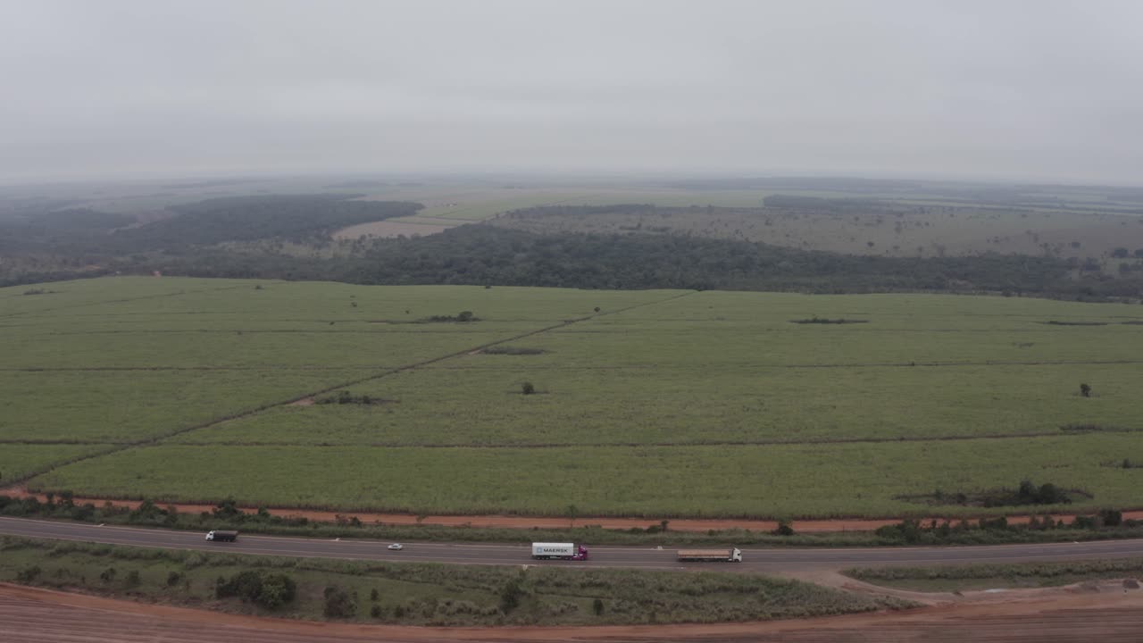 movimiento aéreo de drones siguiendo la carretera junto a un campo de caña de azúcar con naturaleza y cielo nublado en el horizonte