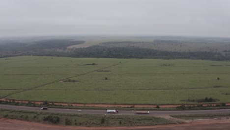 Drone-aerial-movement-following-the-road-next-to-a-sugar-cane-field-with-nature-and-clowdy-sky-on-the-horizon