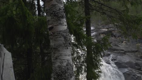 Mädchen-Im-Wald-Neben-Einem-Dramatischen-Wasserfall