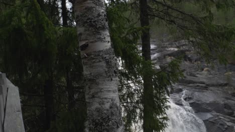 Girl-in-the-forest-besides-a-dramatic-waterfall