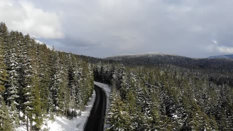 drone is rising up over pine trees looking over mountains and winding road