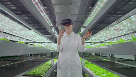 una mujer con una túnica blanca de pie en el pasillo de la agricultura vertical con hidropónica con gafas virtualnoy realidad alrededor de las vitrinas verdes con verduras.