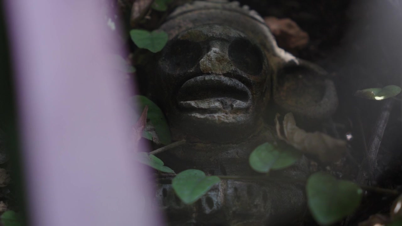 Static close-up shot of an ancient stone figurine or carved mask partially hidden amidst green leaves and vines in a tropical setting