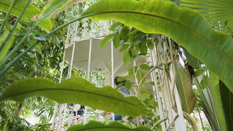 spiral staircase in a lush greenhouse