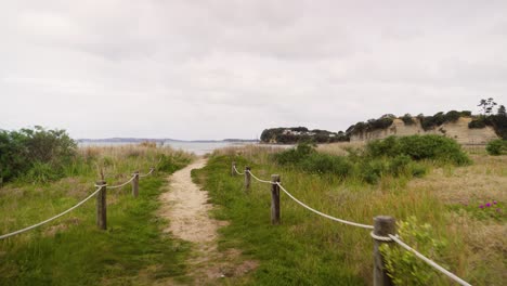 camino, alto, elemento, árboles, colección, montar, campo, óceano, plantas, bosques, montañas, colores, concepto, llamativas, aislado, patrones, distancia, mar, flotante, paisajes, viajes, naturaleza, rock, acantilado