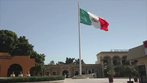 mexican flag 00