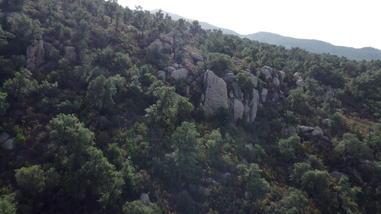 paisaje forestal de montaña