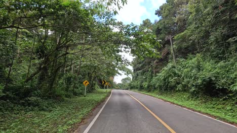 conduciendo a lo largo de un camino sinuoso rodeado de árboles