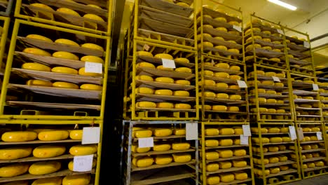 almost completely full storage racks of cheese wheels.