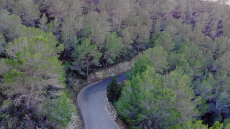 Carretera-Con-Curvas-En-Ibiza-En-El-Bosque-Naturaleza