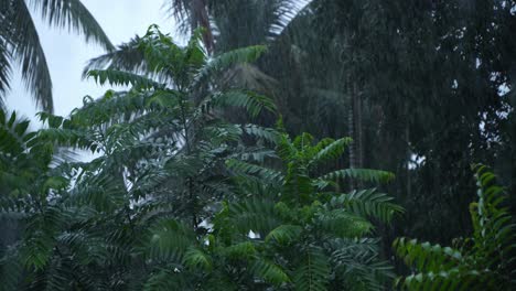 en la temporada de lluvias, el este de la india recibe fuertes lluvias durante la temporada de lluvias