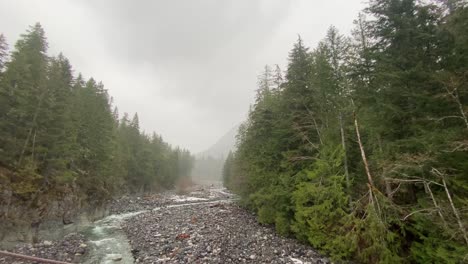 Toma-De-Video-De-Un-Día-Lluvioso-Y-Con-Niebla-En-Medio-Del-Bosque